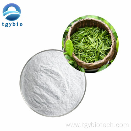 Top Quality l-theanine 99% 40% L theanine Powder